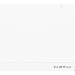 Busch-Jaeger System Access Point 2.0 Wireless SAP/S.13
