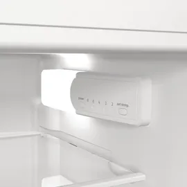 Gorenje RFI512E21 Einbau-Kühlgefrierkombination (170 l, 1221 mm hoch)