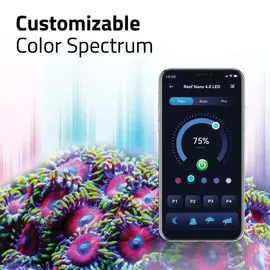 Fluval Nano Reef 4.0 Led 25W