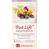 Quintessence True Life Joghurtkulturen Beutel 4 x 10,4 g