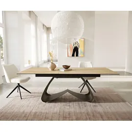 DeLife Edge 180 x 72 x 100 cm braun