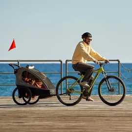 Kinderkraft NAVA WALK 2-in-1 Fahrradanhänger grau