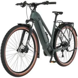 Fischer TERRA T100 711 2023 28 Zoll RH 45 cm Unisex grün