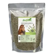 Stiefel Spitzwegerich 500 g