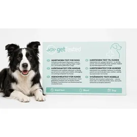 gettested Herzwurm-Test für Hunde 1 St.