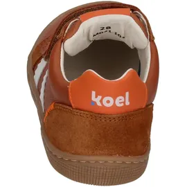 Koel Denis Klettschuh in Braun, Größe 29 - 29