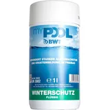 BWT Winterschutz 1 Liter