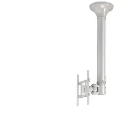 NEWSTAR FPMA-C200 silber 10-40"