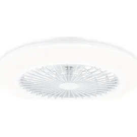 Philips Amigo Deckenventilator mit Beleuchtung 49 cm 20+40 W Weiß glänzend