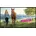 Sharp NEC Display Solutions Sharp PN-HS551 Display 138cm 55