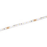 lampenwelt.de Radium Essence 1500 LED-Strip, 5 m, 60W, 2.700K