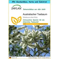 SAFLAX - Geschenk Set - Australischer Teebaum - 400