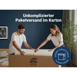 Betten-ABC Basic-Line 120 x 200 cm H2