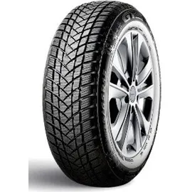 GT Radial Winterpro 2 205/55 R16 91H