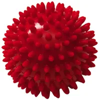 Sissel Spiky-Ball 2 St