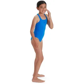 Speedo ECO Endurance+ Medalist Badeanzug Bondi Blue 15-16