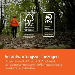 HP Premium-Papier – hochwertig, professionelles Aussehen, A4, 100 g/m2, 168 Weißgrad, Box mit 5 Ries (2.500 Blatt)