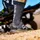 Five Ten Trailcross LT Herren Core Black / Grey Two / Solar Red 46