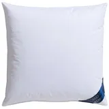 Otto Keller Federkopfkissen Bella, Kissen 40x80 & 80x80 cm, Füllung: 70% Federn & 30% Daunen, Bezug: 100% Baumwolle, Rückenschläfer, Seitenschläfer weiß 80 cm x 80 cm