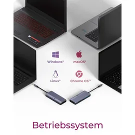 Icy Box IB-DK4062-CPD Multi Dockingstation - Grau