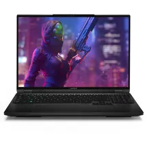 Captiva Highend Gaming I86-494 16'' Core i9-14900HX 16 GB RAM 1 TB SSD RTX 4070