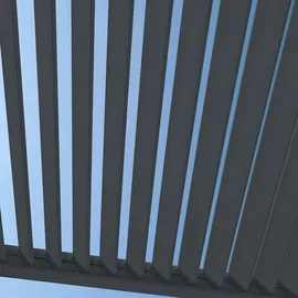 Weide Pergola Deluxe Plus 4 x 6 m grau