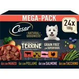 Cesar NATURAL GOODNESS Premium Hunde Nassfutter in der Schale Getreidefrei mit Superfoods in 4 Varietäten Megapack 24x100g