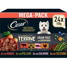 Cesar NATURAL GOODNESS Premium Hunde Nassfutter in der Schale Getreidefrei mit Superfoods in 4 Varietäten Megapack 24x100g