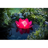 Weltbild Solar-Schwimmdeko Lotus, pink