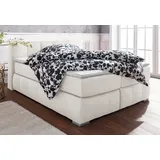 Guido Maria Kretschmer Home&Living Boxspringbett Chelles, inkl. Kaltschaumtopper, in 5 Breiten und 3 Matratzenarten beige 167 cm x 225 cm x 54 cm