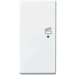 Busch-Jaeger Wippe 2-f li Symbol Szene 6233-21-84