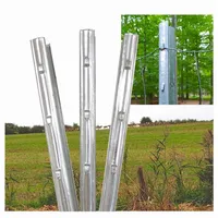 Trutzholm Z-Profil Zaunpfosten 215 cm verzinkt 20x Zaunpfähle inkl. Haken Forstprofil