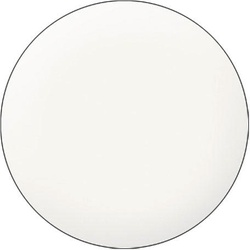 LCN One Component Resin F Opak (2), Inhalt 20 ml
