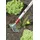 WOLF-Garten Gartenhacke HW-M 15