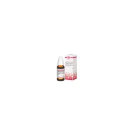 DHU-Arzneimittel Magnesium Fluoratum D12