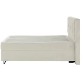 Musterring Dubai 197 x 124 cm Creme