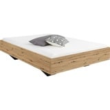 Rauch Futonbett Phoenix ¦ holzfarben ¦ Maße (cm): B: 145 H: 41