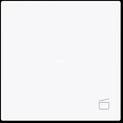 BUSCH-JAEGER Wippe 1-fach mit Symbol 6233-10-44G