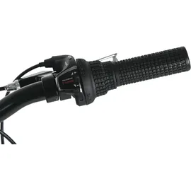 Dacapo Bobby 24 Zoll RH 32 cm rot