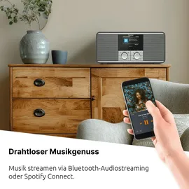 TechniSat DIGITRADIO 425