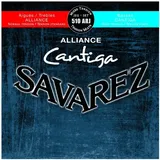 Savarez Saiten