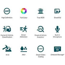 TP-Link VIGI C250 4 mm