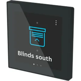 Busch-Jaeger RT/U12.86.11-825 RoomTouch 4" inkl. Busankoppler