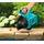 Gardena Gartenpumpe 3000/4 Saugschlauch-Set