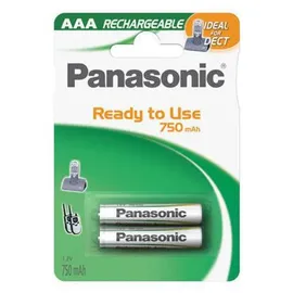 Panasonic Ready to Use Dect Micro 2 St.