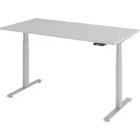 Bümö Schreibtisch 160 x 80 cm Grau / Silber