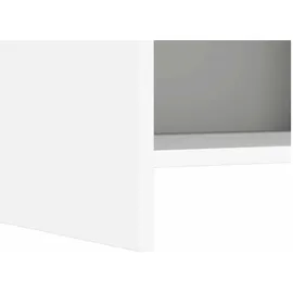 vidaXL Sideboard 40 x 80 x 36 cm Weiß