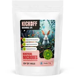 Crazy Hills | Kickoff 50g