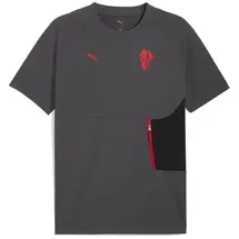 Puma T-Shirt AC Milan PUMATECH T-Shirt mit Tasche Herren grau L (52/54)