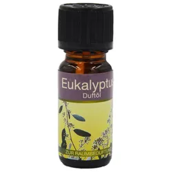 Duftöl Eukalyptus (10ml)